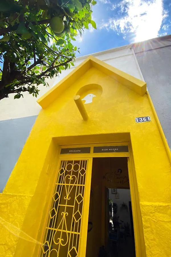 Casa Canario Hostel Guadalajara