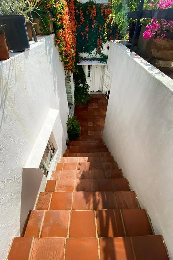 Casa Canario Hostel Guadalajara