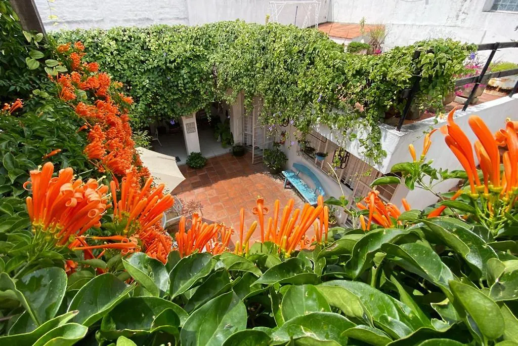 Casa Canario Hostel Guadalajara