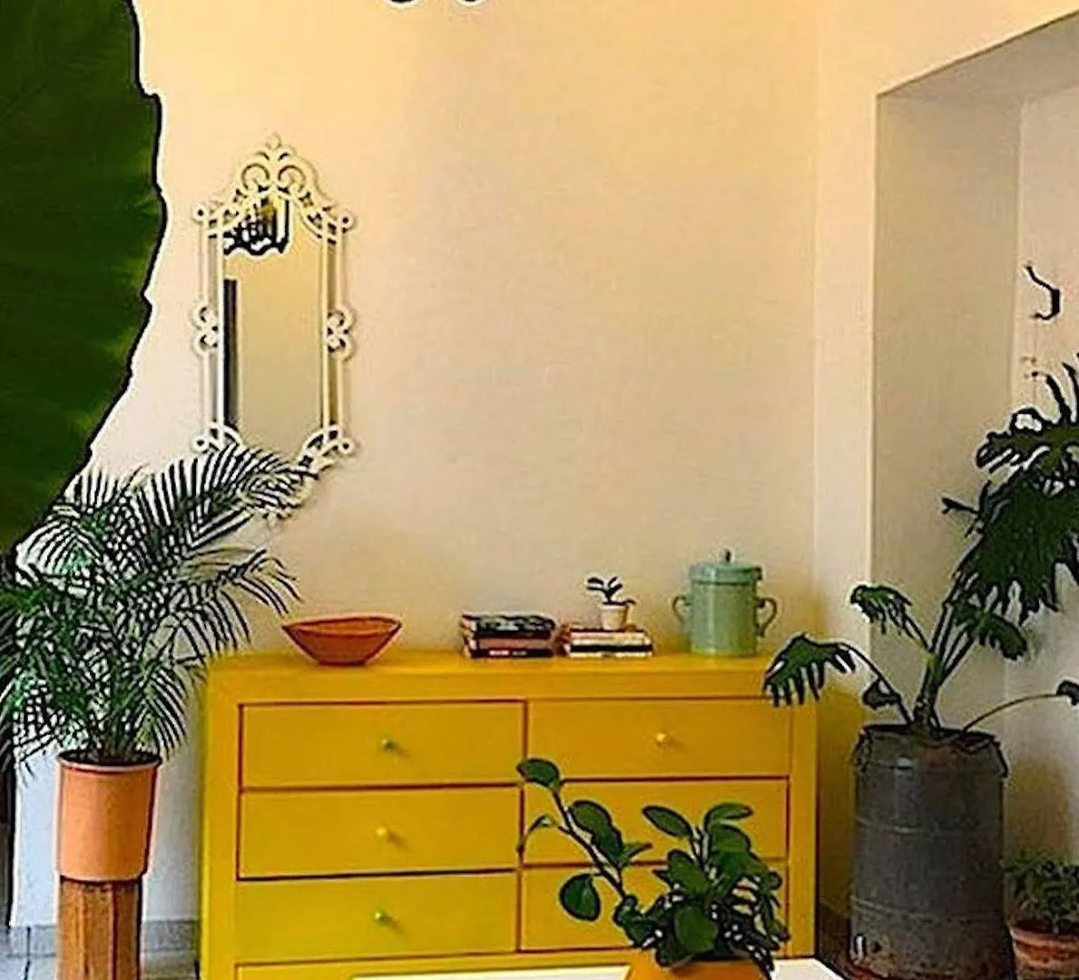 Casa Canario Hostel Guadalajara México