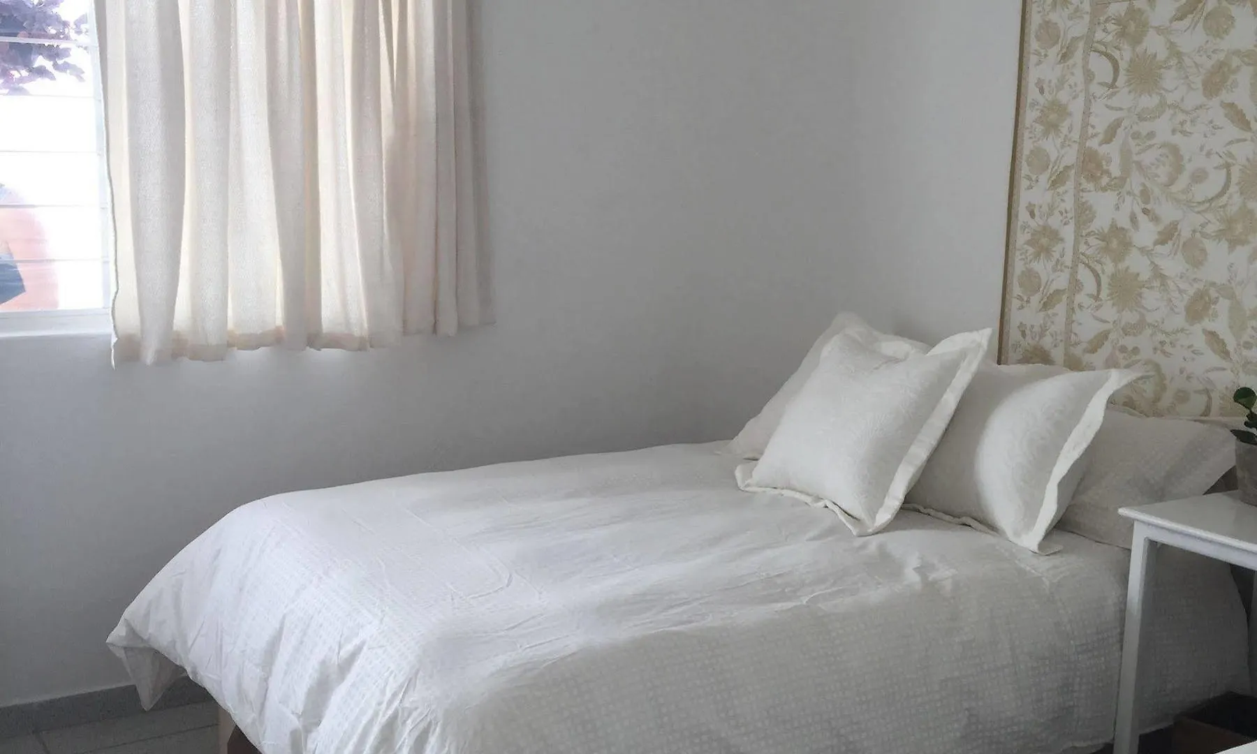 Casa Canario Hostel Guadalajara México