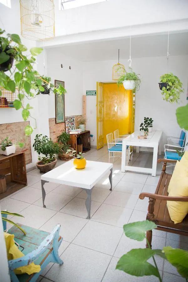 Casa Canario Hostel 과달라하라